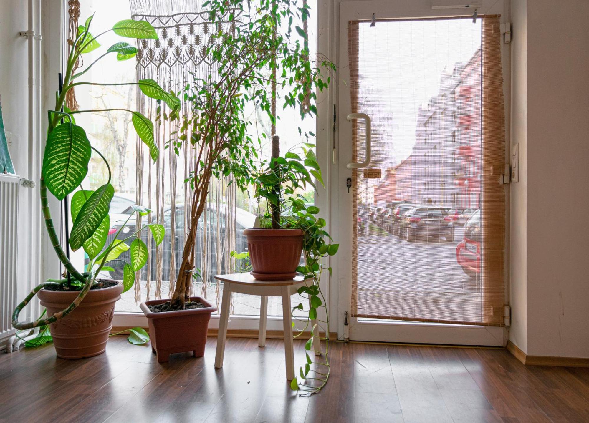 Boutique Altbau Apartment Βερολίνο Εξωτερικό φωτογραφία